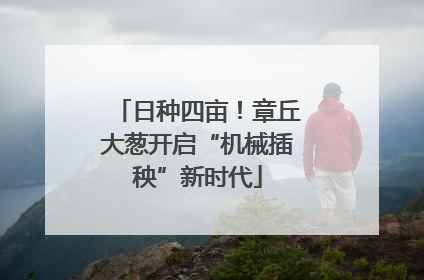 日种四亩！章丘大葱开启“机械插秧”新时代