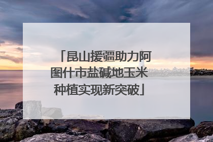 昆山援疆助力阿图什市盐碱地玉米种植实现新突破
