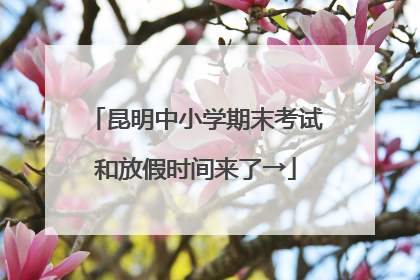 昆明中小学期末考试和放假时间来了→
