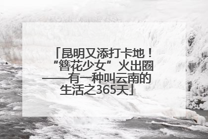 昆明又添打卡地！“簪花少女”火出圈——有一种叫云南的生活之365天