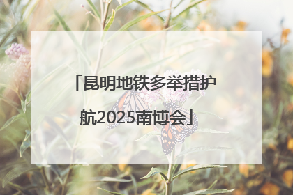 昆明地铁多举措护航2025南博会