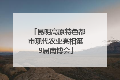 昆明高原特色都市现代农业亮相第9届南博会
