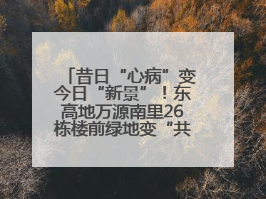 昔日“心病”变今日“新景”！东高地万源南里26栋楼前绿地变“共享花园”