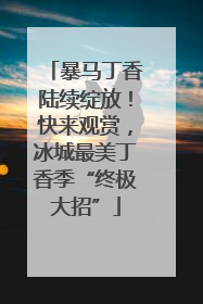 暴马丁香陆续绽放！快来观赏，冰城最美丁香季“终极大招”