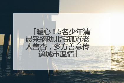 暖心！5名少年清晨采摘助北宅孤寡老人售杏，多方善意传递城市温情