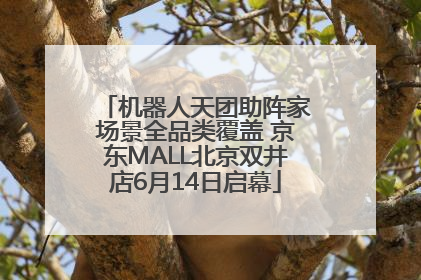 机器人天团助阵家场景全品类覆盖 京东MALL北京双井店6月14日启幕