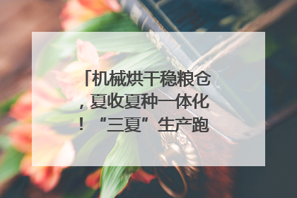机械烘干稳粮仓，夏收夏种一体化！“三夏”生产跑出加速度｜麦报