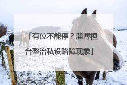 有位不能停？淄博桓台整治私设路障现象