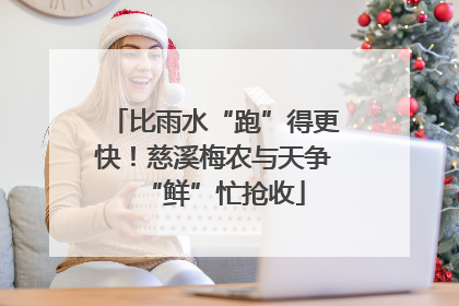 比雨水“跑”得更快！慈溪梅农与天争“鲜”忙抢收