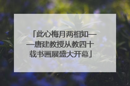 此心梅月两相知——唐建教授从教四十载书画展盛大开幕