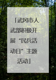 武冈市人武部积极开展“民兵活动日”主题活动