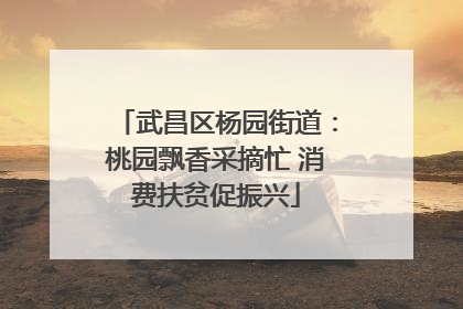 武昌区杨园街道：桃园飘香采摘忙 消费扶贫促振兴