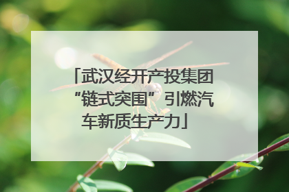 武汉经开产投集团“链式突围”引燃汽车新质生产力