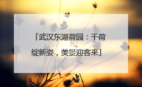武汉东湖荷园：千荷绽新姿，美景迎客来