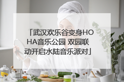 武汉欢乐谷变身HOHA音乐公园 双园联动开启水陆音乐派对