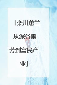 栾川蕙兰 从深谷幽芳到富民产业