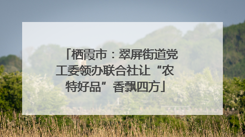 栖霞市：翠屏街道党工委领办联合社让“农特好品”香飘四方