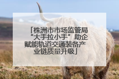 株洲市市场监管局“大手拉小手”助企赋能轨道交通装备产业链质量升级