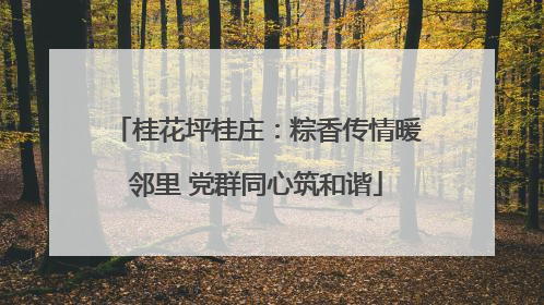 桂花坪桂庄：粽香传情暖邻里 党群同心筑和谐