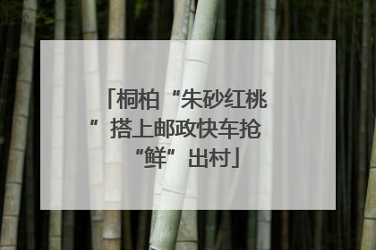 桐柏“朱砂红桃”搭上邮政快车抢“鲜”出村