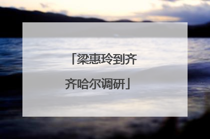 梁惠玲到齐齐哈尔调研