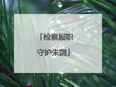 检察履职 守护朱鹮
