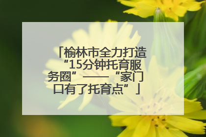 榆林市全力打造“15分钟托育服务圈”——“家门口有了托育点”
