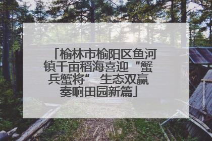 榆林市榆阳区鱼河镇千亩稻海喜迎“蟹兵蟹将” 生态双赢奏响田园新篇