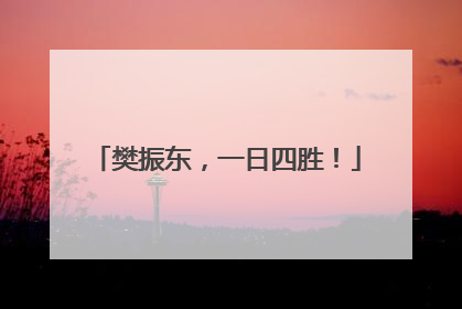 樊振东，一日四胜！