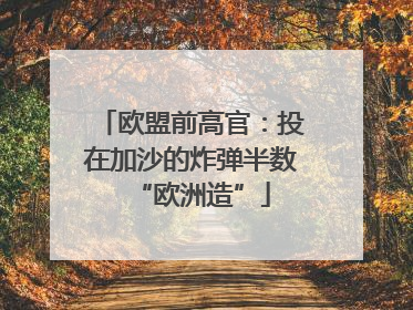 欧盟前高官：投在加沙的炸弹半数“欧洲造”