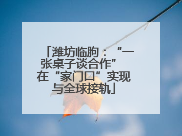 潍坊临朐：“一张桌子谈合作” 在“家门口”实现与全球接轨
