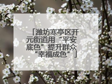 潍坊寒亭区开元街道用“平安底色”提升群众“幸福成色”