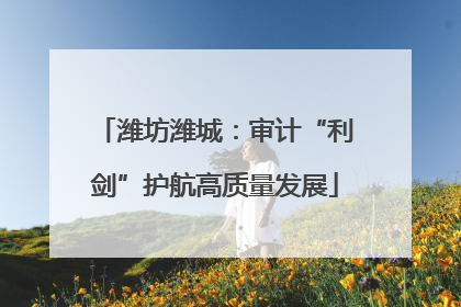 潍坊潍城：审计“利剑”护航高质量发展