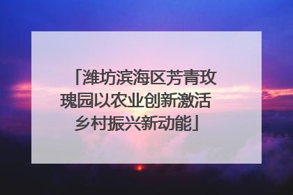 潍坊滨海区芳青玫瑰园以农业创新激活乡村振兴新动能