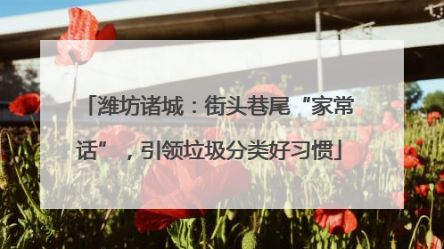 潍坊诸城：街头巷尾“家常话”，引领垃圾分类好习惯