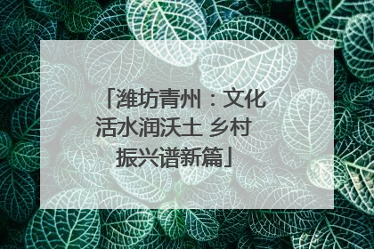 潍坊青州：文化活水润沃土 乡村振兴谱新篇