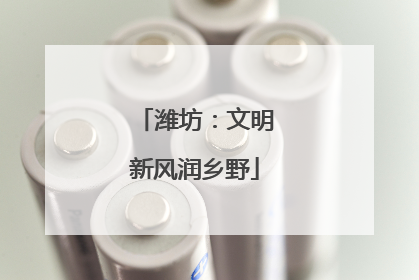 潍坊：文明新风润乡野