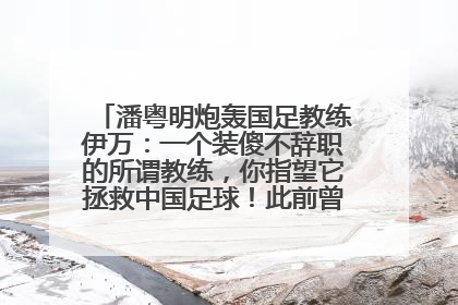 潘粤明炮轰国足教练伊万：一个装傻不辞职的所谓教练，你指望它拯救中国足球！此前曾多次发文评价国足