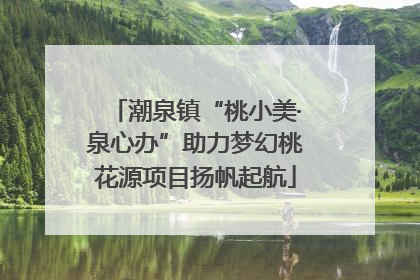 潮泉镇“桃小美·泉心办”助力梦幻桃花源项目扬帆起航