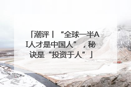 潮评丨“全球一半AI人才是中国人”，秘诀是“投资于人”