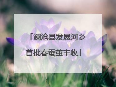澜沧县发展河乡首批春蚕茧丰收
