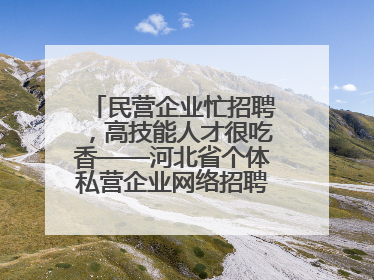 民营企业忙招聘，高技能人才很吃香——河北省个体私营企业网络招聘大会扫描