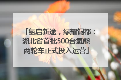 氢启新途，绿耀铜都：湖北省首批500台氢能两轮车正式投入运营