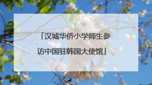 汉城华侨小学师生参访中国驻韩国大使馆