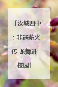 汝城四中：非遗薪火传 龙舞进校园