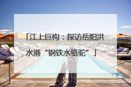 江上巨构：探访岳阳洪水港“钢铁水骆驼”