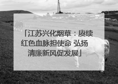 江苏兴化烟草：赓续红色血脉担使命 弘扬清廉新风促发展