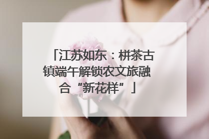 江苏如东：栟茶古镇端午解锁农文旅融合“新花样”