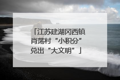 江苏建湖冈西镇肖荡村“小积分”兑出“大文明”