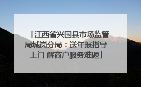 江西省兴国县市场监管局城岗分局：送年报指导上门 解商户服务难题